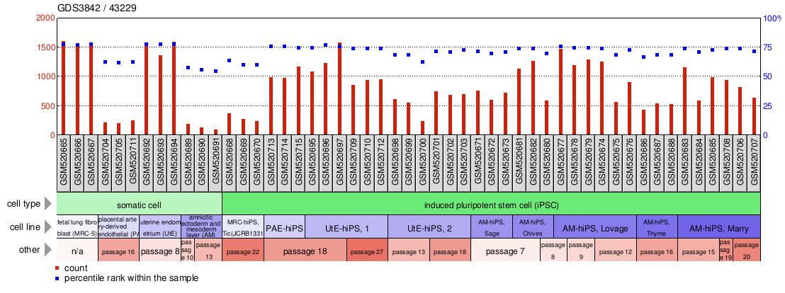 Gene Expression Profile