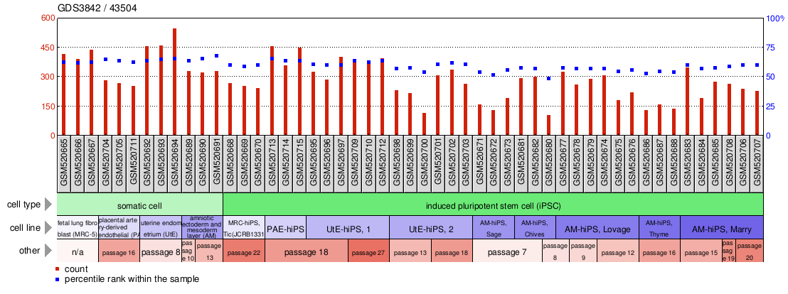 Gene Expression Profile