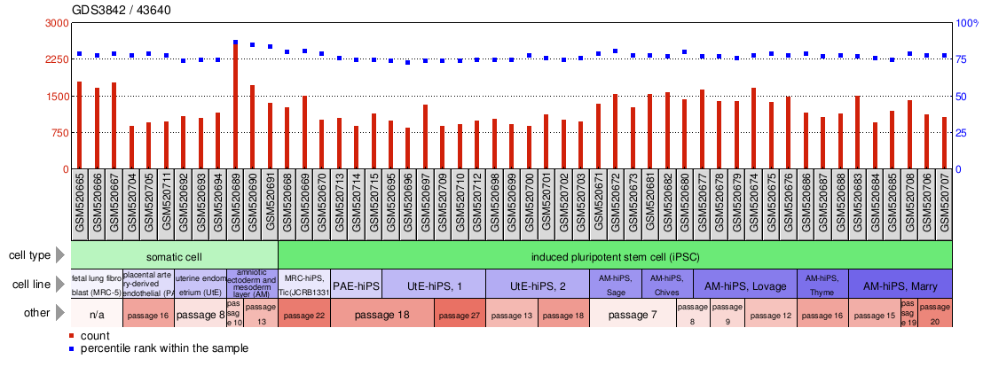 Gene Expression Profile