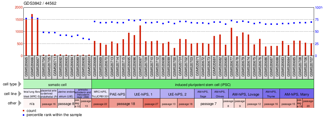 Gene Expression Profile