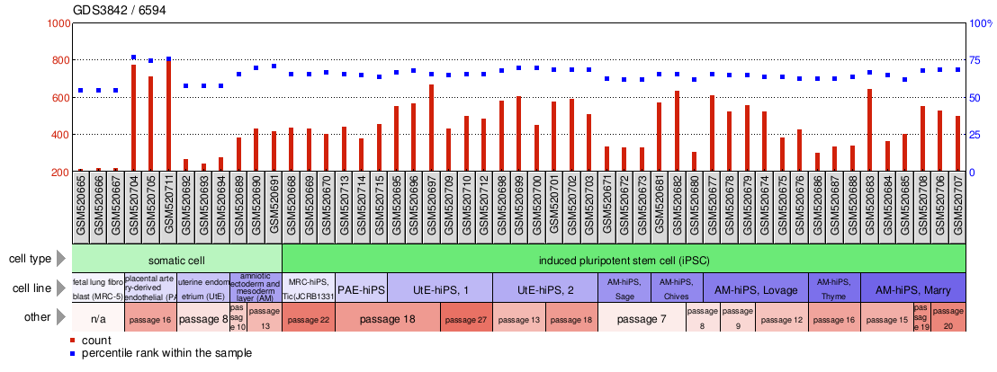 Gene Expression Profile