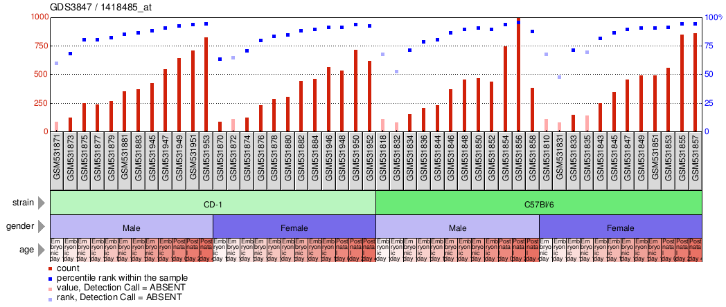 Gene Expression Profile