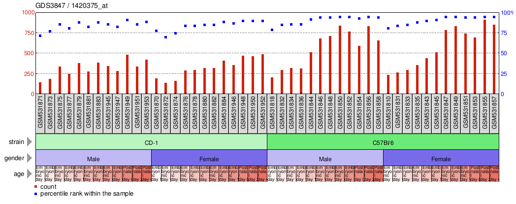 Gene Expression Profile