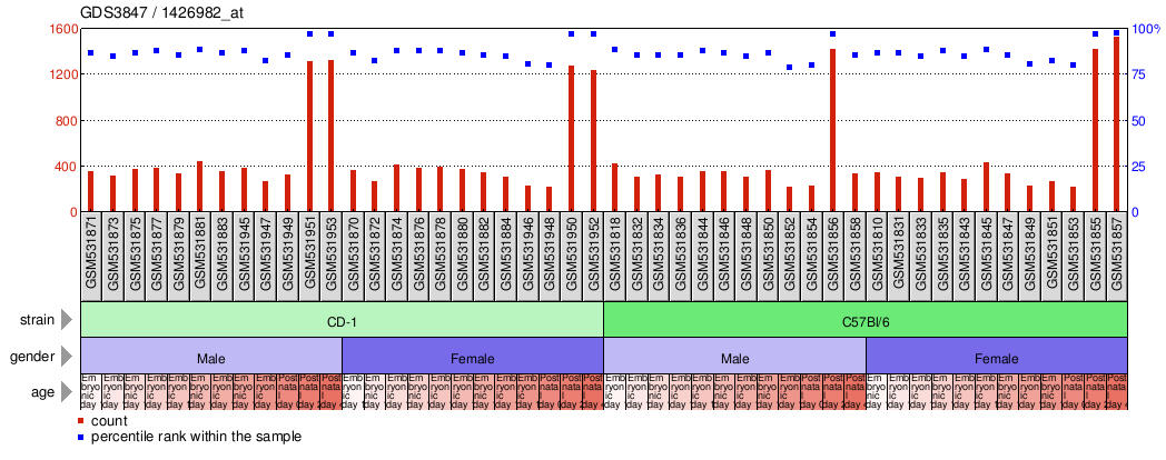 Gene Expression Profile