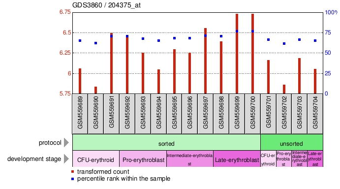 Gene Expression Profile