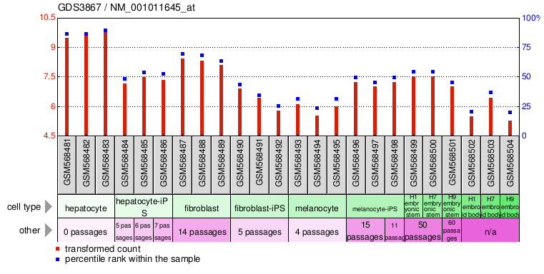 Gene Expression Profile