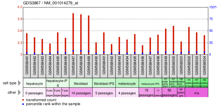 Gene Expression Profile