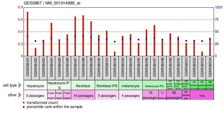 Gene Expression Profile