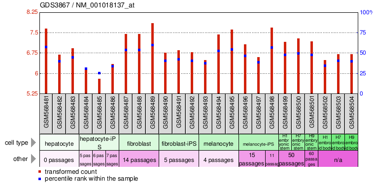 Gene Expression Profile