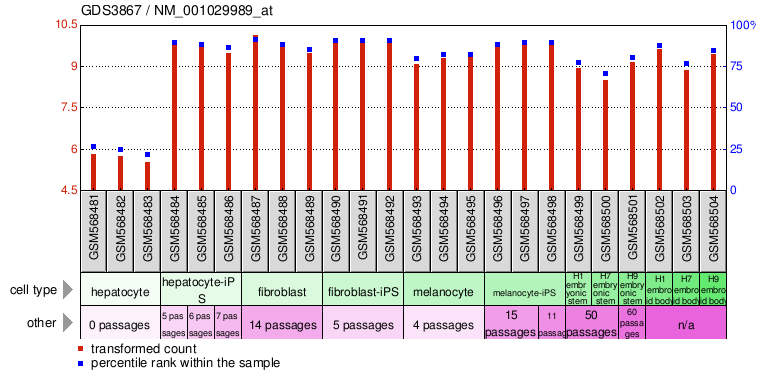 Gene Expression Profile