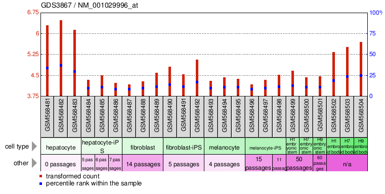 Gene Expression Profile