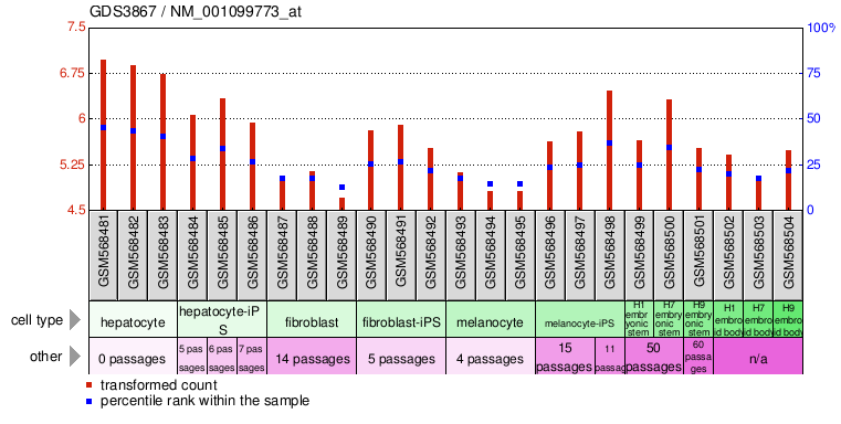 Gene Expression Profile