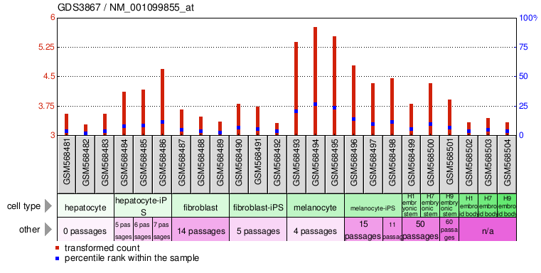 Gene Expression Profile