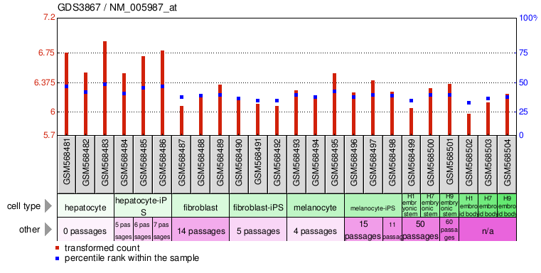 Gene Expression Profile