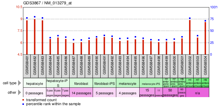 Gene Expression Profile