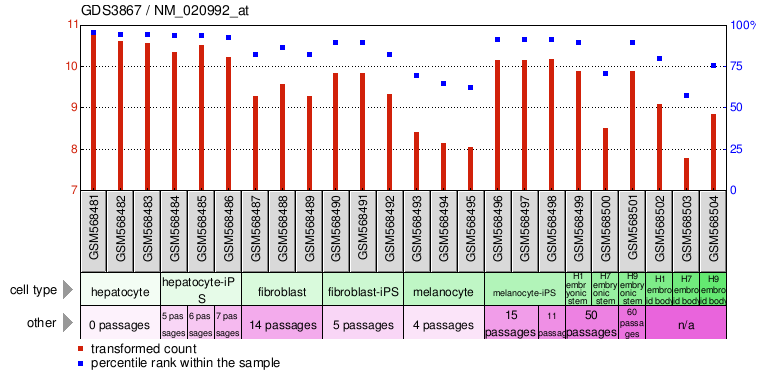 Gene Expression Profile