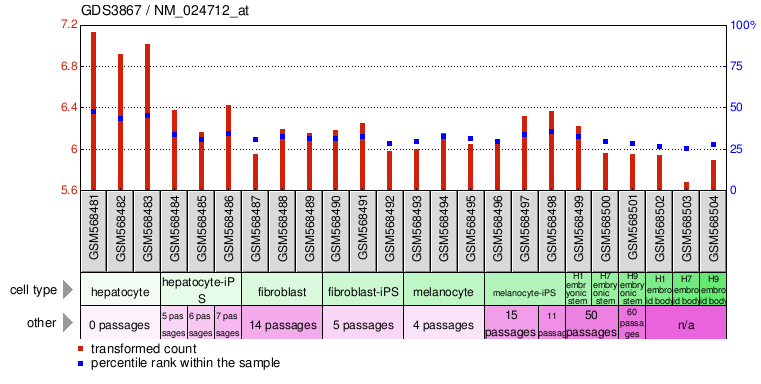 Gene Expression Profile