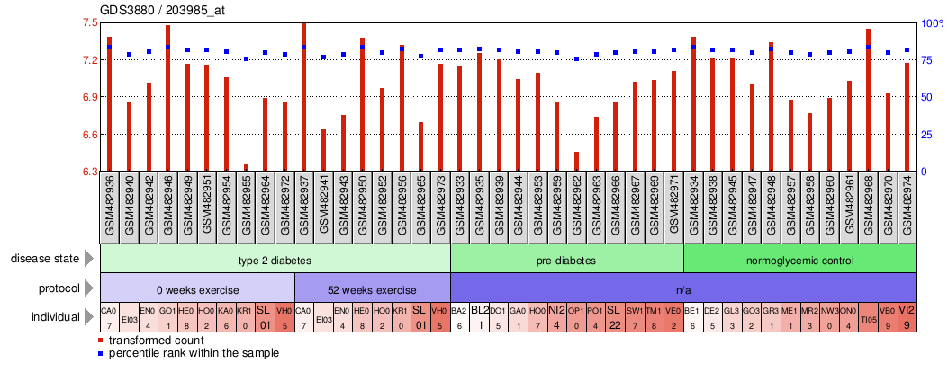 Gene Expression Profile