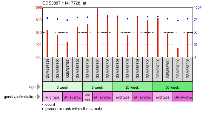 Gene Expression Profile