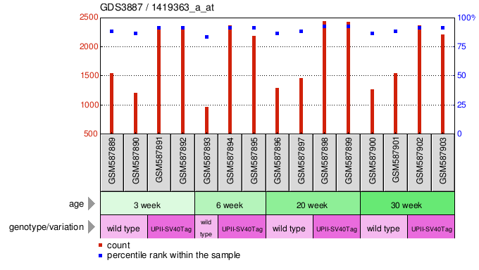 Gene Expression Profile