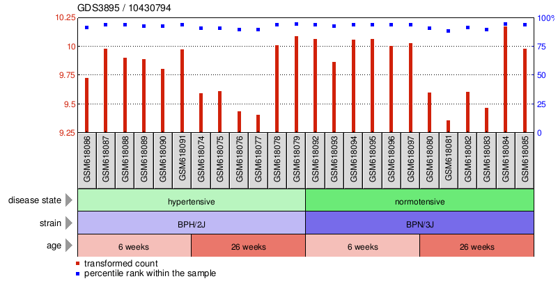 Gene Expression Profile