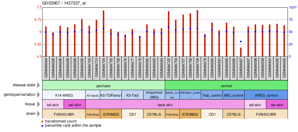 Gene Expression Profile