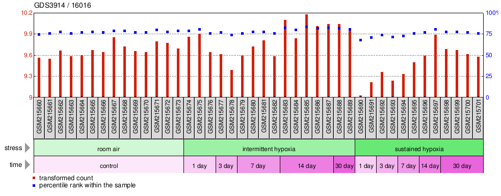 Gene Expression Profile