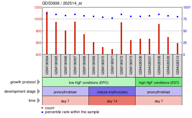 Gene Expression Profile