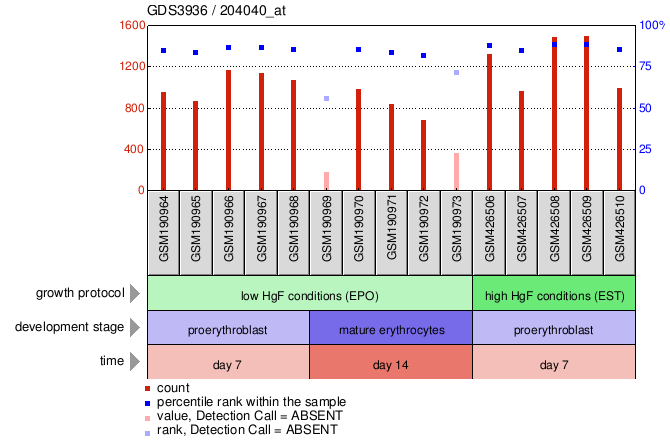 Gene Expression Profile