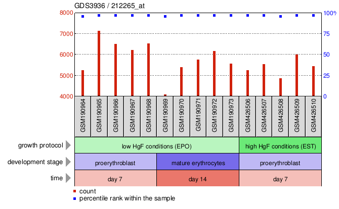 Gene Expression Profile