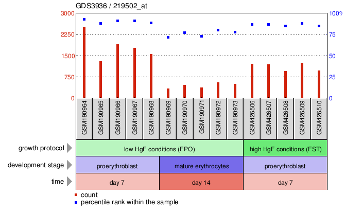 Gene Expression Profile