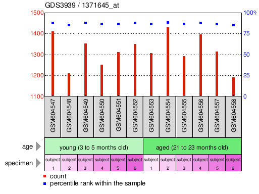 Gene Expression Profile