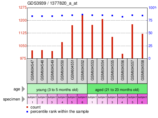 Gene Expression Profile