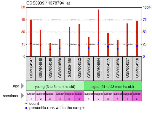 Gene Expression Profile