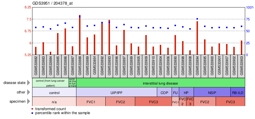 Gene Expression Profile