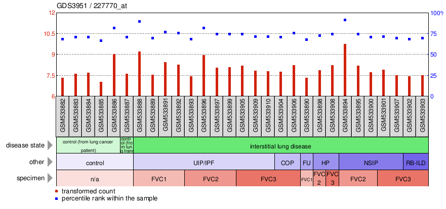 Gene Expression Profile