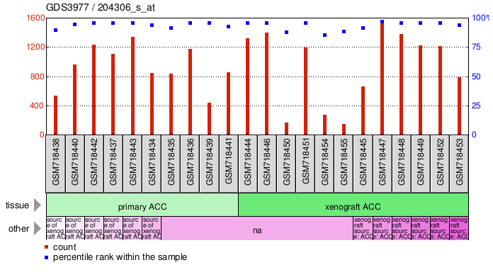 Gene Expression Profile