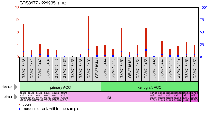 Gene Expression Profile