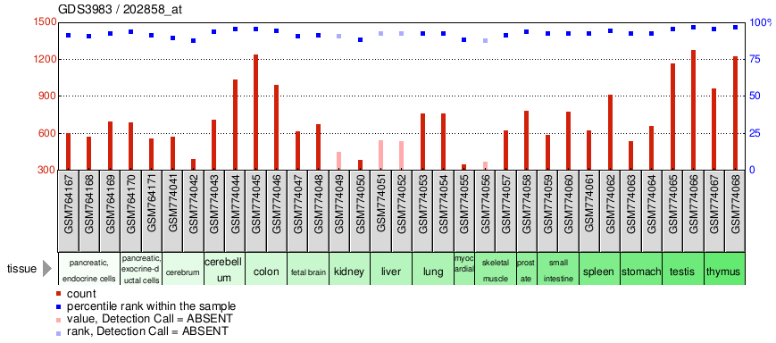 Gene Expression Profile