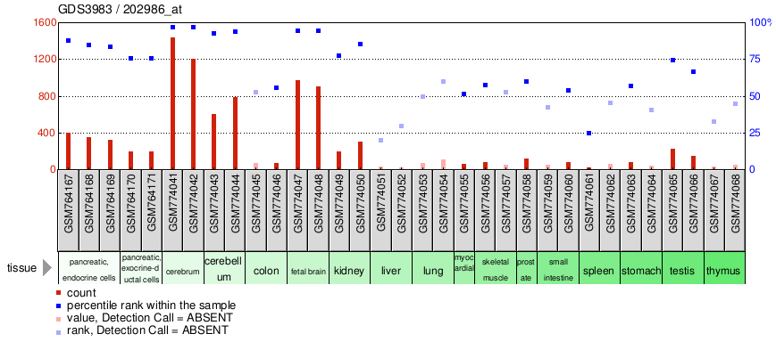 Gene Expression Profile