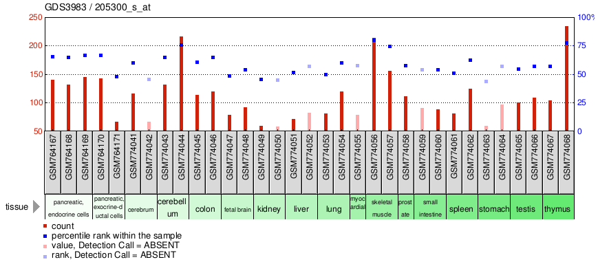 Gene Expression Profile