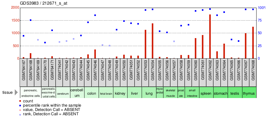 Gene Expression Profile