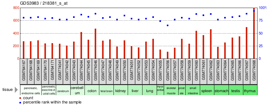 Gene Expression Profile