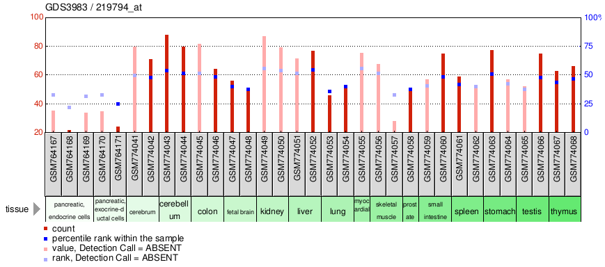 Gene Expression Profile