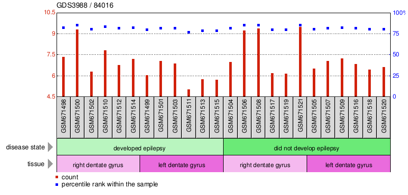 Gene Expression Profile