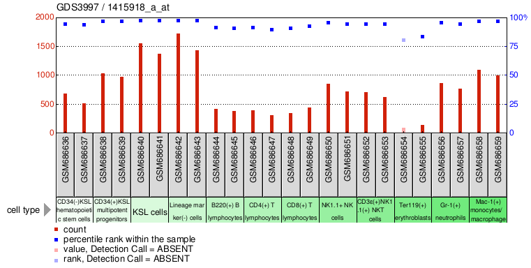 Gene Expression Profile