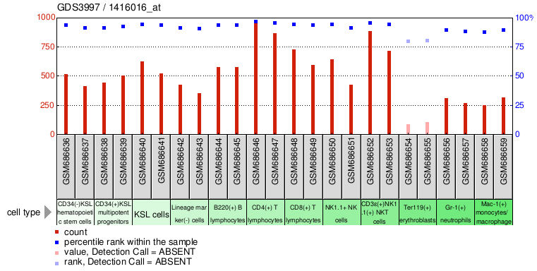 Gene Expression Profile