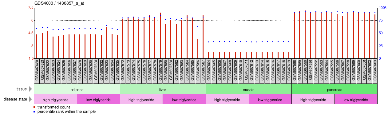 Gene Expression Profile