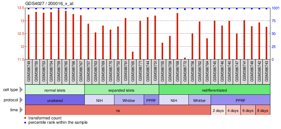 Gene Expression Profile