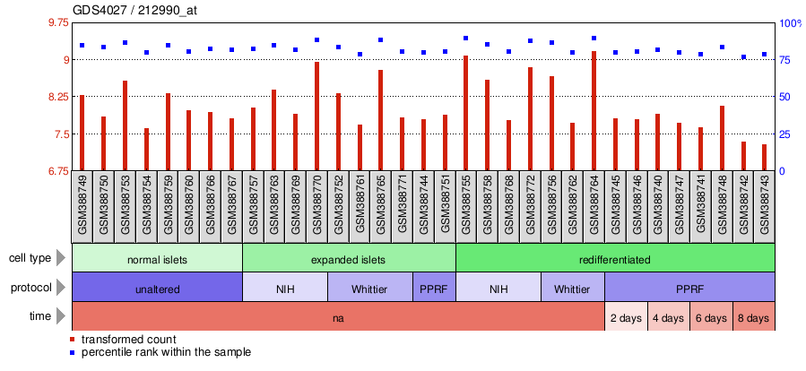 Gene Expression Profile